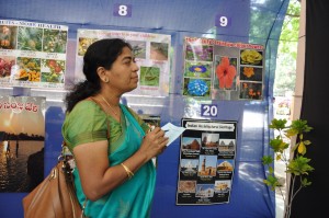 19th August 2016- World Photography Day